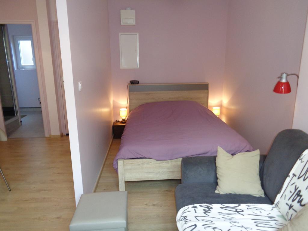 Au Puy Saint Jacques Apartment Le Puy-en-Velay Luaran gambar